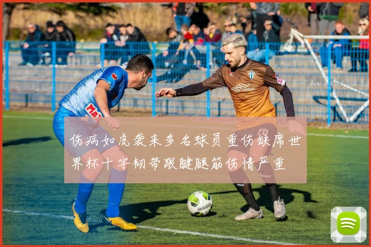 伤病如虎袭来多名球员重伤缺席世界杯十字韧带跟腱腿筋伤情严重