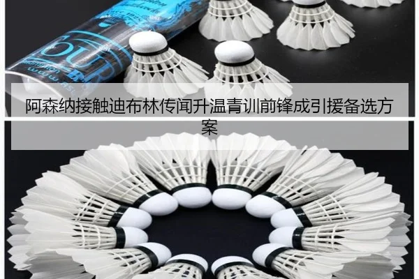 阿森纳接触迪布林传闻升温青训前锋成引援备选方案